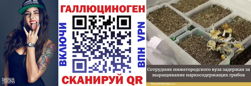 как найти   Новомосковск  Псилоцибиновые грибы Cubensis 