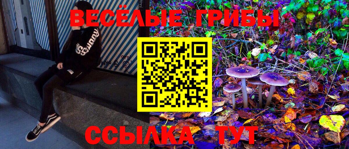 Галлюциногенные грибы MAGIC MUSHROOMS  купить   Вход с VPN  Новомосковск  Псилоцибиновые грибы мицелий 