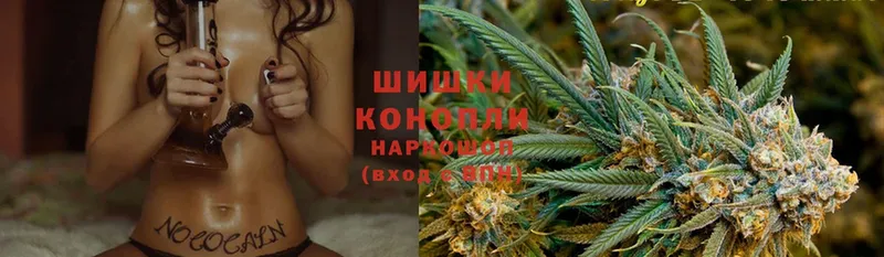 дарнет шоп  MEGA зеркало  Бошки Шишки THC 21%  Новомосковск 